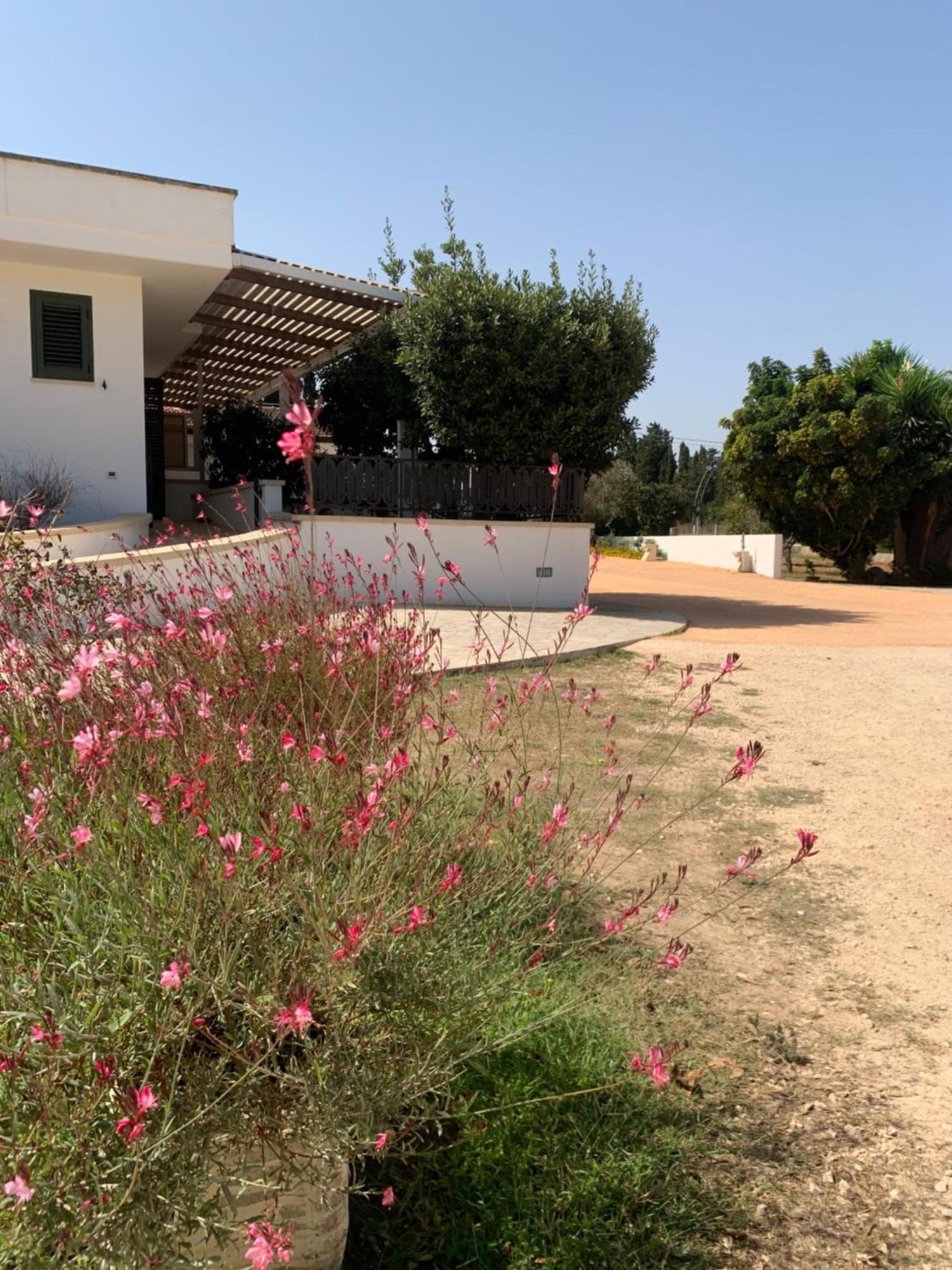 Agriturismo Fontanelle 오트란토 외부 사진