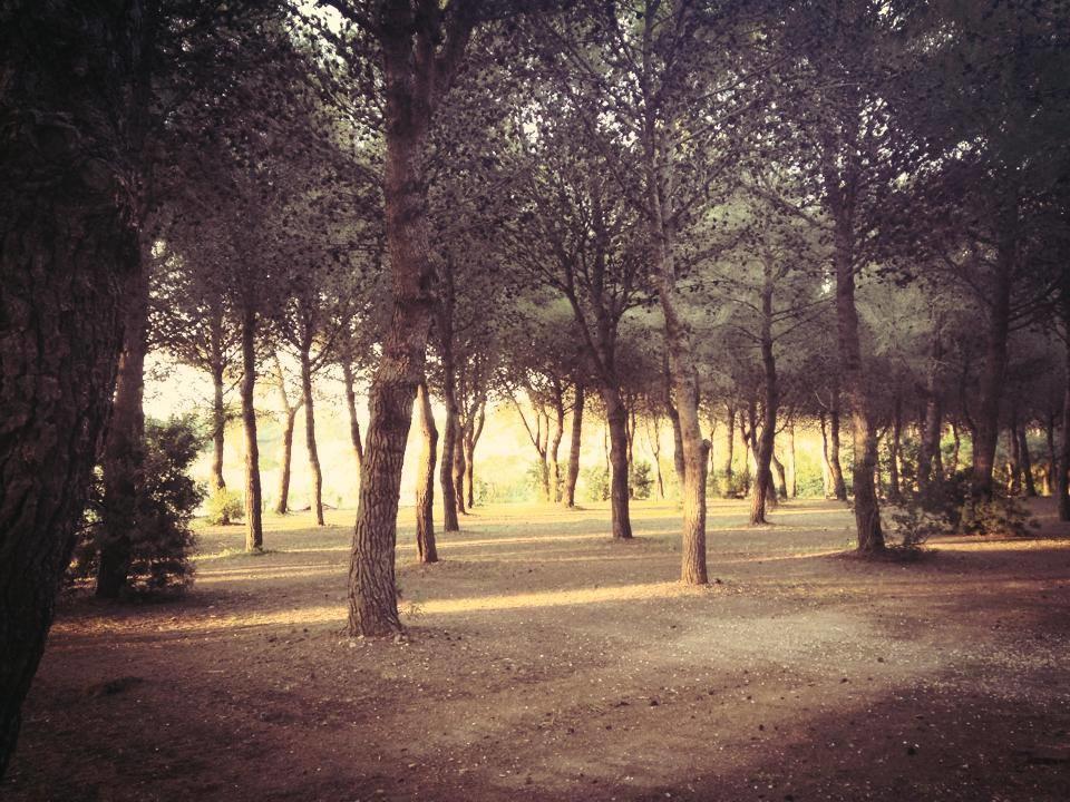 Agriturismo Fontanelle 오트란토 외부 사진